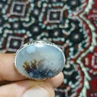 انگشتر. شجر. اصل قدیمی