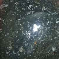 شهاب سنگ اصل|کلکسیون اشیاء عتیقه|گرگان, |دیوار