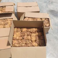 برگ زرد و قرمز|عمده‌فروشی|کاکی, |دیوار