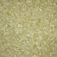 برنج کامفیروزی به شرط پخت