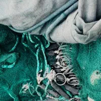 تورغلایه|ماهیگیری|بندرلنگه, |دیوار