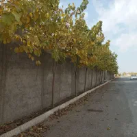 زمین-باغچه-چهاردیواری-شهرکی-عرب-اباد-سلطان-اباد