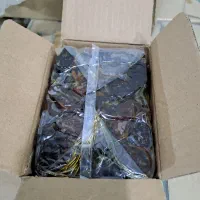 فروش خرمای کبکاب