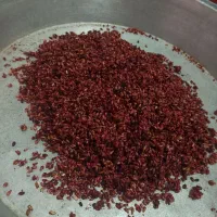 ناردونه تازه
