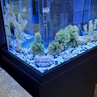 آکواریوم شرکتی . اندیشه شهریار