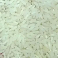 طارم بینام درجه 1