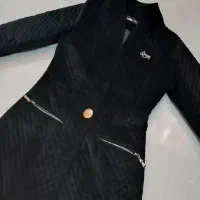 پالتو پاییزه