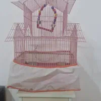 قفس