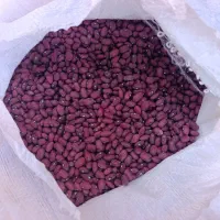 لوبیا قرمز بوجاری شده درجه یک