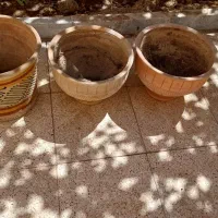 ۴عدد گلدان سفالی متوسط و ۳عدد گلدان سفالی بزرگ|گل و گیاه طبیعی|اصفهان, ملک‌شهر|دیوار