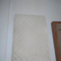 دشک ویستر (آلمانی)