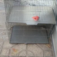 قفس پرنده
