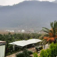 نیازمند نظافتچی خانم