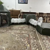 شهربازی تاشو