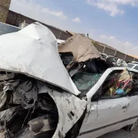 سمندتصادفی مدل۸۸