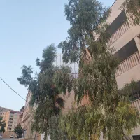 آپارتمان ۲ خوابه شخصی ساز نوساز ویلایی صدرا مولانا|فروش آپارتمان|شیراز, شهرک گلستان|دیوار