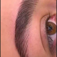 مدل رایگان میکرو و شید