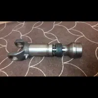 نروماده گاردون خاوری.یک جفت رینگ ولاستیک خاوری