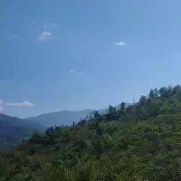 فروش زمین دنج با ویو بهشتی