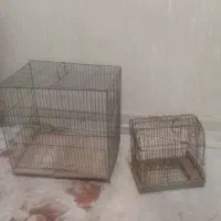 قفس پرنده