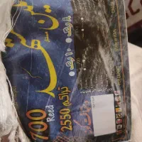 فرش ۱۲ متری یک جفت طرح ۷۰۰ شانه|فرش|پاکدشت, پاکدشت (مامازند)|دیوار