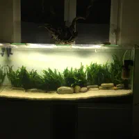 ۲عدد اکواریوم