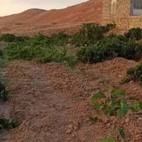 خانه باغ در بین روستای کیذقان و ده زمین (دره دهنه)|فروش خانه و ویلا|ششتمد, |دیوار