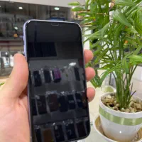 گوشی اپل مدل Iphone11 128G سفید دو سیم ZA/A|موبایل|قزوین, |دیوار