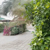 خانه اجاره ای روزانه
