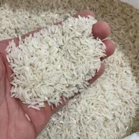 برنج دم سیاه فارسیان قانچی