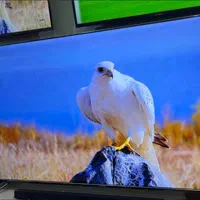 تلویزیون۶۵ اینچ دوو مدل ججوDSL-65SU1880/1870|تلویزیون و پروژکتور|رشت, گلسار|دیوار