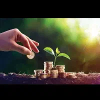 پرداخت سرمایه آزاد