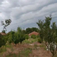 فروش 312 زمین تخفیف بلک فرایدی|فروش زمین و ملک کلنگی|املش, |دیوار