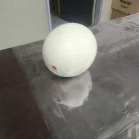فروش عمده تخم شتر مرغ تخلیه شده