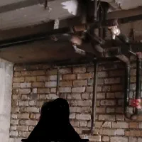 لوله کشی گاز