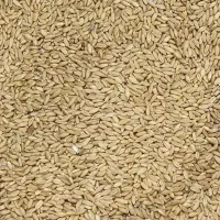 گندم وجو|خوردنی و آشامیدنی|هرسین, |دیوار