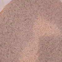 برنج طارم