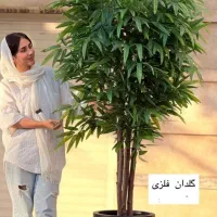 درختچه ده قسطه|گل مصنوعی|خرم‌آباد, |دیوار