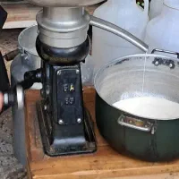 ماست چکیده|خوردنی و آشامیدنی|نیشابور, حقیه|دیوار