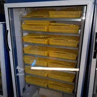 دستگاه جوجه کشی بلدرچین دماوند