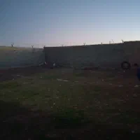 زمین