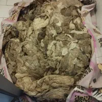 پشم گوسفنده