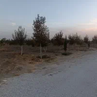 فروش باغ شهری جونجان|فروش زمین و ملک کلنگی|مرودشت, ده بید|دیوار