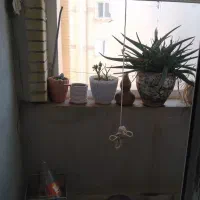 واحد 85متری طراوت|فروش آپارتمان|سبزوار, قصبه شرقی|دیوار