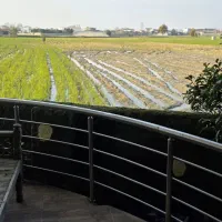 ویلا فروشی دابو دشت|فروش خانه و ویلا|دابودشت, |دیوار