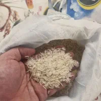 برنج گلدسته ۱۱۲۱ پاکستان