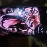 سامسونگ نوت 8