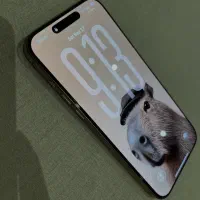 iPhone 16 pro max|موبایل|بندرعباس, |دیوار