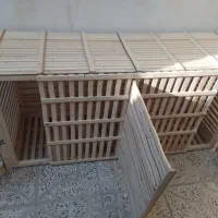 ساخت وسایل چوبی و قفسه حیوانات|لوازم جانبی حیوانات|کرمانشاه, |دیوار