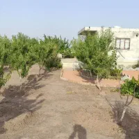 باغ|فروش خانه و ویلا|اشتهارد, |دیوار